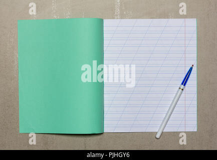 Scuola aperta notebook in una stretta linea con slash per imparare l'ortografia mock up con spazio copia e penna a sfera su sfondo grigio, vista dall'alto Foto Stock