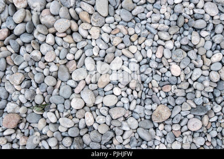 Spiaggia sfondo pietre Foto Stock