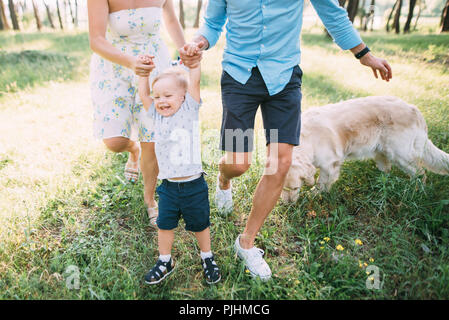 Una simpatica famiglia - mamma, papà e figlio spendere tempo di divertimento all'aperto con il loro cane Foto Stock