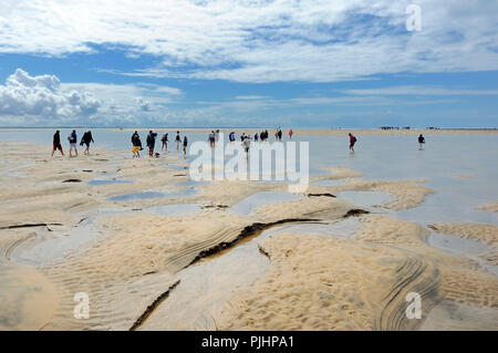 Francia, Francia Sud-Occidentale, estuario Gironde, turistico arrivo sul banco di sabbia del Cordouan lighthouse a bassa marea Foto Stock