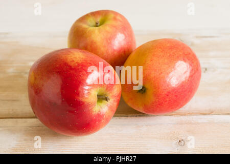 Jazz mele o cultivar Malus domestica Scifresh un ibrido di Royal Gala e Braeburn sviluppato in Nuova Zelanda Foto Stock