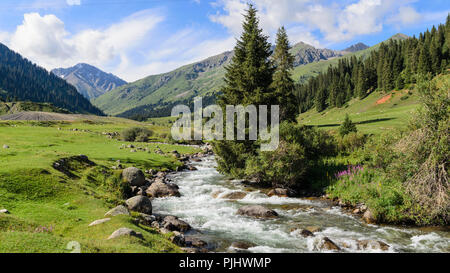 Vista estiva della valle Jyrgalan in Kirghizistan Foto Stock