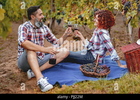 Bella sorridenti giovane sono avente un picnic in un vigneto e tostatura con vino per il buon raccolto. Foto Stock