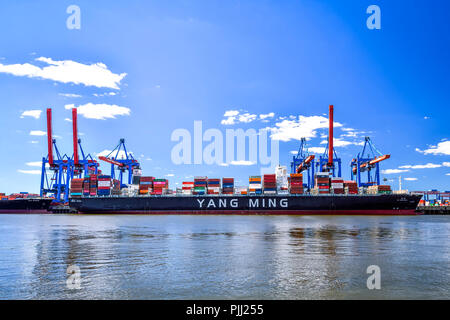 Busta contenitore nel container terminal Altenwerder ad Amburgo, Germania, Europa Containerumschlag am Containerterminal Altenwerder ad Amburgo, D Foto Stock