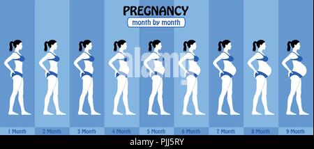 Di mese in mese gravidanza fasi della donna incinta con il bikini. Tutti gli oggetti e gli stadi del corpo sono in diversi strati e i tipi di testo non è necessario Illustrazione Vettoriale