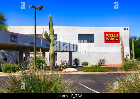 Cacti crescente al di fuori di una Banca Wells Fargo Bank in Tucson, AZ Foto Stock