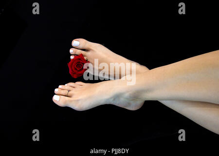 Elegante e morbido donna piedi incrociati con bella rosa rossa tra chiodo bianco le dita dei piedi e punta gioiello, "Greco piede", femmina piedi gambe su nero abstract Foto Stock