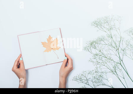 Ragazza con libro aperto con giallo secco autunno maple leaf e pagina vuota, vista dall'alto. Piano di composizione laici mani femminili con il libro di testo accanto al rametto di g Foto Stock