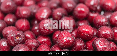 Bella ciliegie dolci close-up, gocce d'acqua. Pila di lavata di ciliegia matura frutti. Texture di freschi frutti sani pieno di vitamine e un delizioso succo. Foto Stock