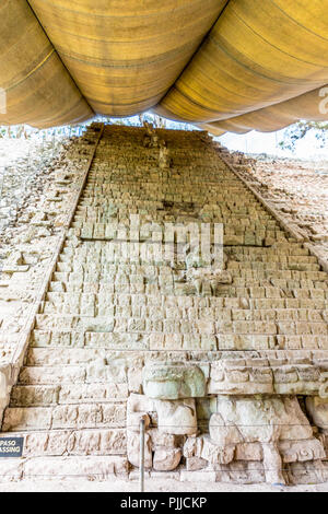 Una tipica vista in rovine Copan in Honduras Foto Stock