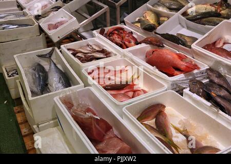 Frutti di mare al Mercato del Pesce di Billingsgate in pioppo, Londra, Regno Unito. Foto Stock