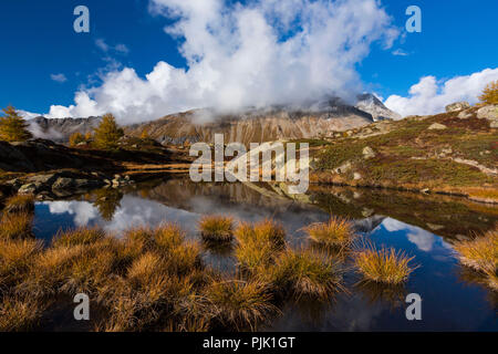 I colori autunnali presso il Crap Alv Laiets, un BOG sul Passo dell'Albula nel cantone svizzero dei Grigioni Foto Stock