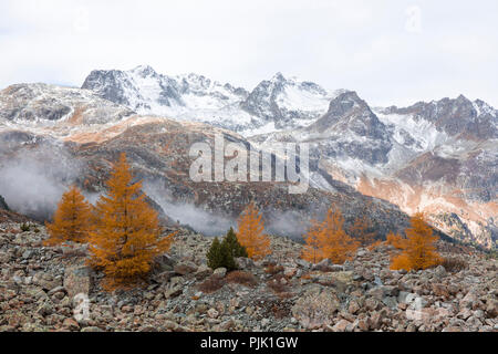 La nebbia di mattina si schiarisce sul Passo dell'Albula e dà una visione chiara delle montagne intorno a Bergün, Canton Grigioni, Svizzera Foto Stock