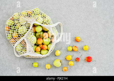 Borsa a rete piena di colorati mele dal giardino sul cemento grigio Sfondo. Foto Stock