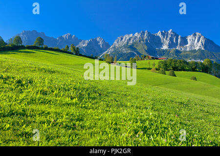 Austria, Tirolo, agriturismo vicino a Kitzbühel contro Wilder Kaiser Foto Stock