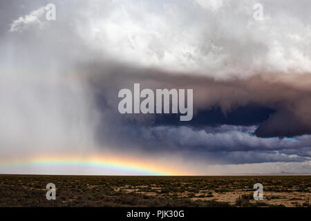 Una nuvola da parete sotto il mesociclone di un temporale supercellulare con un drammatico nucleo di grandine in Arizona Foto Stock