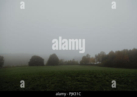 Una passeggiata attorno all'Obersee in Bielefeld (Schildesche) su una nebbia e giornata grigia in ottobre, Foto Stock