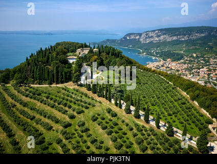Vista aerea, Rocca di Garda, il Lago di Garda, il Lago di Garda, Garda, Italia settentrionale, Veneto, Italia Foto Stock