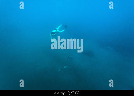 Giovane donna snorkeling con il pesce palla in Oceano Indiano a Pulau Weh, Indonesia Foto Stock