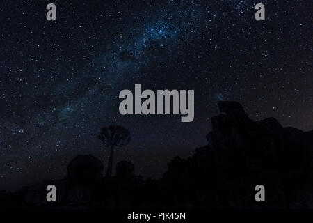 Faretra Tree e la Via Lattea nel Quiver Tree Forest / 'gigantesco parco giochi nei pressi di Keetmanshoop, sud della Namibia Foto Stock