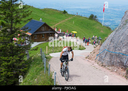 Economia alpina Chäserenholz sul Rigi, vicino a Lucerna, il Lago di Lucerna, il cantone di Lucerna, Svizzera Foto Stock