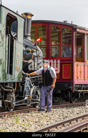 Locomotiva a vapore Vitznau-Rigi-Bahn, vicino a Lucerna, il Lago di Lucerna il cantone di Lucerna, Svizzera Foto Stock