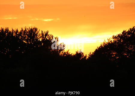 Tramonto inizio di caduta Foto Stock