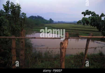 Le risaie nella campagna del Laos. Foto Stock