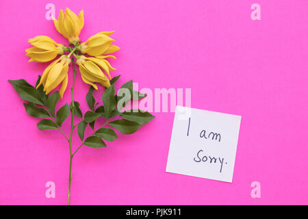 Mi dispiace messaggio scrittura della scheda con ylang ylang giallo floreale su sfondo rosa Foto Stock