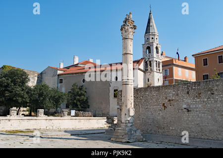 Visualizzare il Forum di Zadar Vecchia, Croazia, Europa orientale. Foto Stock