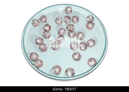 Le cellule staminali embrionali umane in piastra Petri, illustrazione del computer. Foto Stock