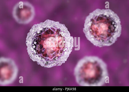 Le cellule staminali embrionali umane, illustrazione del computer. Foto Stock