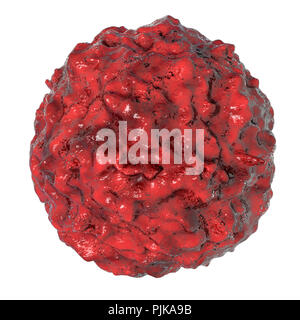 Le cellule staminali embrionali umane, illustrazione del computer. Foto Stock