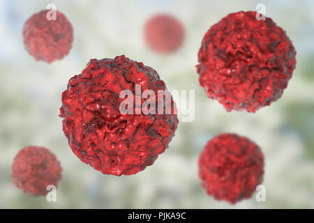 Le cellule staminali embrionali umane, illustrazione del computer. Foto Stock