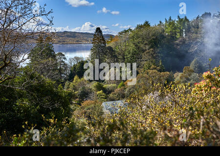 Il fumo dei falò pende al treetops al mattino presto sunshine vista Craobh Haven sopra Loch Melfort attraverso i giardini Arduaine. Foto Stock