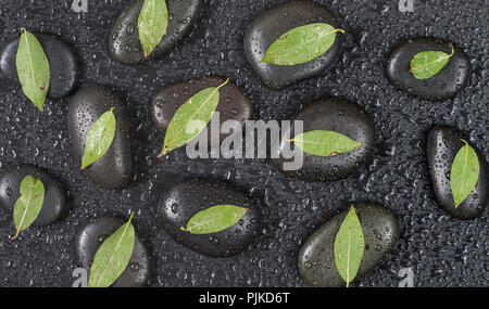 Più in basalto nero pietre Massaggio con foglie verdi su di essi, coperto con gocce d'acqua, distribuito su uno sfondo nero; vista superiore, laici piatta Foto Stock