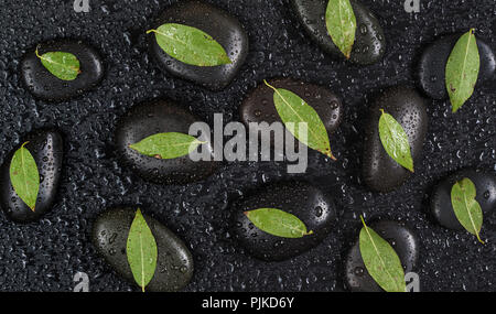 Più in basalto nero pietre Massaggio con foglie verdi su di essi, coperto con gocce d'acqua, distribuito su uno sfondo nero; vista superiore, laici piatta Foto Stock