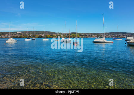 Barche sul lago di Zurigo in Svizzera, vista dal cty di Zurigo in autunno. Foto Stock