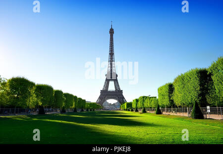 Vista Torre Eiffel da Champ de Mars a Parigi, Francia Foto Stock
