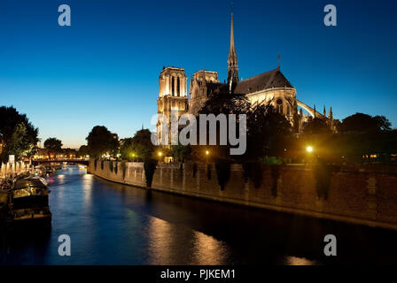 Notre Dame de Paris di sera, Francia Foto Stock