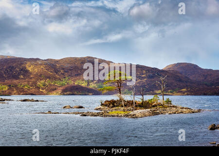 Piccole isole di Loch Assynt nelle highlands scozzesi vicino Ardvreck Castle Foto Stock