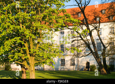 Polonia Wroclaw, isola di Wyspa Piasek, ex Biblioteca universitaria Foto Stock