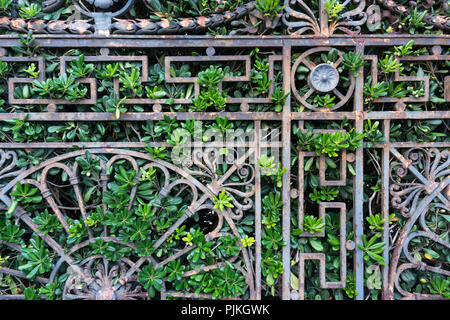 Venezia, Giardini ex reali (Royal Gardens), recinto Foto Stock