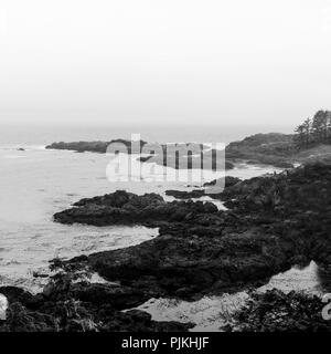 Costa rocciosa, Pacific Northwest Coast, Isola di Vancouver, Canada Foto Stock