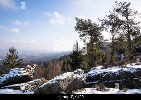 In Germania, in Sassonia, Superiore Lusazia, Zittau montagne, Oybin, Mount Töpfer, paesaggio Foto Stock