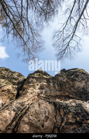 In Germania, in Sassonia, Superiore Lusazia, Zittau montagne, scogliere di arenaria con alberi e cielo Foto Stock