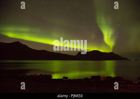 L'Islanda, aurora, Islanda, umore, lucente, mare, stelle Djupavik, Westfjords Foto Stock