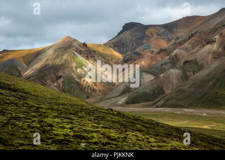 L'Islanda, Landmannalaugar, riolite montagne, verde muschio di fronte montagne colorate, light Foto Stock