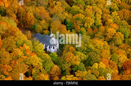 Sant'Antonio Cappella, chiesa, religione, foresta autunnale, Menden, Maerkischer Kreis, Renania settentrionale-Vestfalia, Germania, Europa Foto Stock