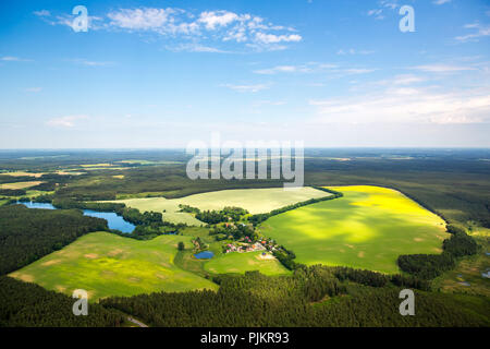 Gmina Dabrowka Czarna, campi cornfields, foresta, aree forestali, Pomerania, Mar Baltico, Pomorskie, Polonia Foto Stock